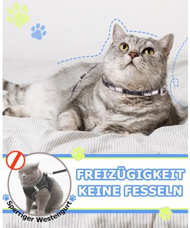 Supet Adjustable Cat Dishes Set Safe & Stylish Bowls for Large & Small Cats Includes Kitten Dishes & Walking Leash (Black Size M) - Buy Online on GoSupps.com