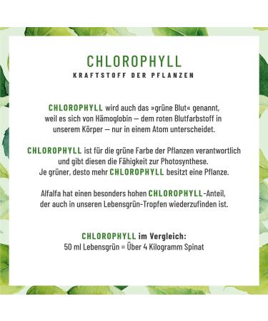 Lifelong Alfalfa Chlorophyll Liquid 50ml - 200mg Daily Dose - Vegan Drops Alternative to Tablets - Buy Online on GoSupps.com
