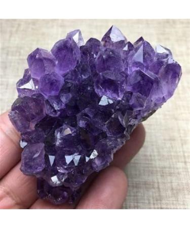 Amethyst Rough Stone Natural Amethyst Cluster Purple Crystal Quartz Home Decor (Color : 180-200g Size : 1 Piece) 1 piece 180-200g - Buy Online on GoSupps.com