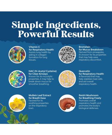 Lung Detox Mullein Leaf Capsules - Purifying Mullein Lung Cleanse Complex with NAC Quercetin & Cordyceps Extracts - Leaf Herb Respiratory Supplement for Sinus Immunity & Breathing Support - 120 Count - Buy Online on GoSupps.com