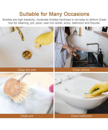 Solustre 2-Pack Sisal Cleaning Spot Brush Head - Wooden Kitchen Scrubber Replacement for Dishware & Pots - Buy Online on GoSupps.com