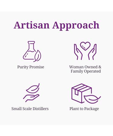 Aromatics International Premium Organic Cypress Essential Oil 5ml | 100% Pure Essential Oil for Diffusion & Aromatherapy Cypress 0.17 Fl Oz (Pack of 1) - Buy Online on GoSupps.com