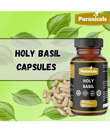 Holy Basil Capsules and Cinnamon Capsules Herbal Combo Pack | Easy Daily Use | Non-GMO Ingredients No Artificial Colors | 320 Capsules Each Bottle | Value 2-Bottle Set | Value Combo Pack - Buy Online on GoSupps.com