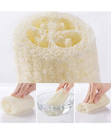 Natural Bathing Loofah 3 Pack - 6 inch 100% Organic Shower Sponge for Exfoliating and Dead Skin Removal - Eco-Friendly Body Scrubbers - Buy Online on GoSupps.com