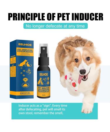 Go Here Spray for Dogs 30ml No Pee Spray for Dogs Puppy Supplies for Training Dogs Removing Stains and Odors Rianpesn - Buy Online on GoSupps.com