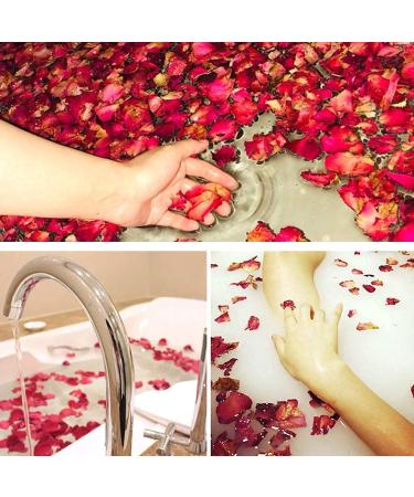 Quesuc 100g Natural Dried Rose Petals - For Foot Bath, Body Bath, Spa, Wedding, Home Fragrance - DIY Crafts - Red Rose Petal Confetti - Buy Online on GoSupps.com
