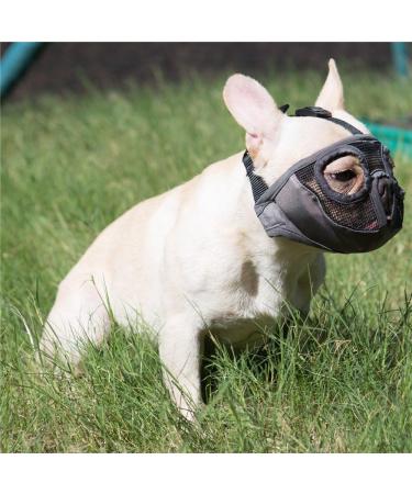 Jyhy Adjustable Muzzle for Flat-Nosed Dogs & Cats | Breathable Design for Bulldogs Pugs & More | XL Size (46-64cm) - Gray - Buy Online on GoSupps.com