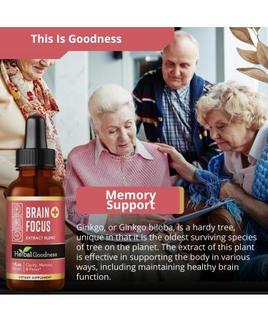 Herbal Goodness Brain and Focus Support - Nootropic Brain Supplement with Gingko and Lion's Mane Brain Health - Non-GMO Natural Clarity Energy & Mental Performance | Vegan Liquid Drops 1 fl. oz - Buy Online on GoSupps.com