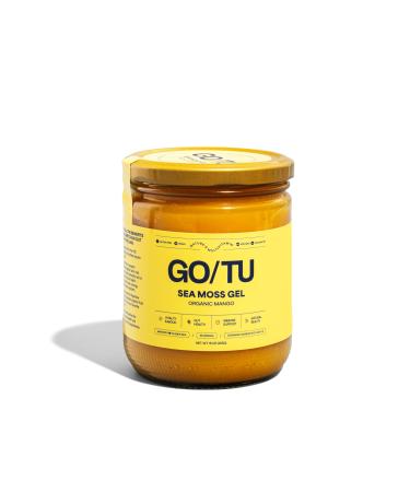 GO/TU Sea Moss Gel 16oz Mango | Pure, Shelf-Stable Superfood | Nature s Multivitamin Mango 16 Ounce (Pack of 1)