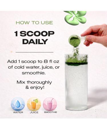 Kiala Nutrition Super Greens Organic Greens Powder with Spirulina & Chlorella for Digestion Gut Health Immunity Adaptogens Energy Gluten Free Vegan Sugar Free Watermelon Slush 30 Servings - Buy Online on GoSupps.com