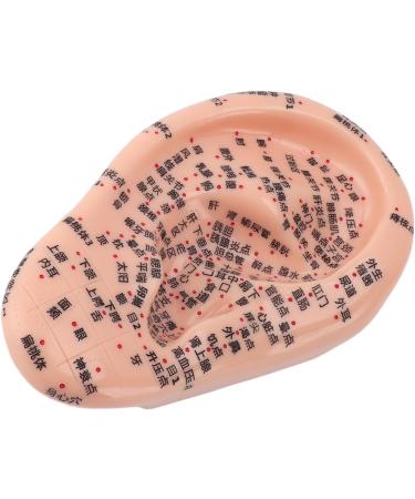 Buy Ear Acupuncture Point Model - Clear Display for Classrooms | International Shipping Available - Buy Online on GoSupps.com