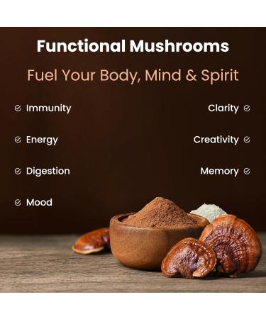 NutraChamps Organic Mushroom Powder - 10-in-1 Complex - Mushroom Supplement Powder Blend for Memory, Focus & Immune Support - 8oz (8.0 OZ, Mushroom Blend) - Buy Online on GoSupps.com