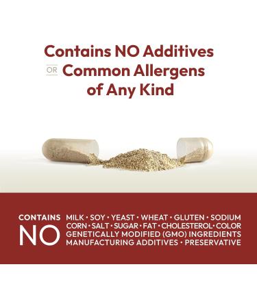 ANDREW LESSMAN Vitamin B12 500 60 Capsules - Absorption-Protected Methylcobalamin (Natural Coenzyme Vitamin B12) Essential for Energy and Stress Support Plus B-Complex Easy to Swallow Capsules 60 Count (Pack of 1) - Buy Online on GoSupps.com