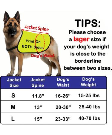 Buy Reactive Dog Jacket Vest | Dog Reactive-Medium | Warning Slogan for Safe Walks - Buy Online on GoSupps.com