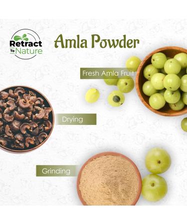 Retract To Nature Amla Powder (Amalaki) - 16 oz 100% Natural Source of Vitamin C Made From Himalayan Mountain Hill - Buy Online on GoSupps.com