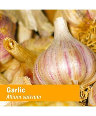 Organic Garlic Liquid Extract for Cardiovascular Support - 4oz | Herb Pharm - Buy Online on GoSupps.com