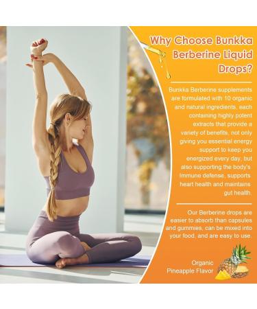 (2 Pack) Berberine Supplement Berberine Liquid Drops with Ceylon Cinnamon Bitter Melon Sugar-Free & Vegan Supplement Supports Immune System & Gastrointestinal Care - 4 FL Oz Pineapple - Buy Online on GoSupps.com