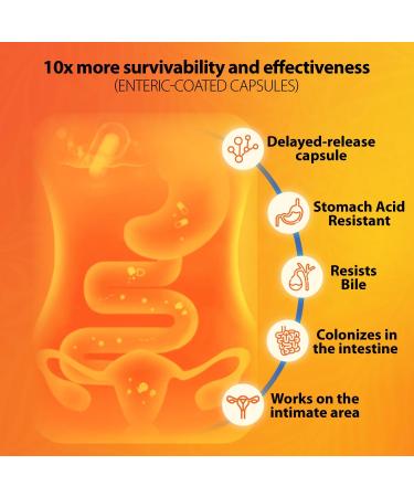 NutriZing Women's Probiotic + Daily Digestive Probiotic Bundle 50 & 30 Billion CFU Vaginal Gut and Immune Support 120 Vegan Capsules - Buy Online on GoSupps.com