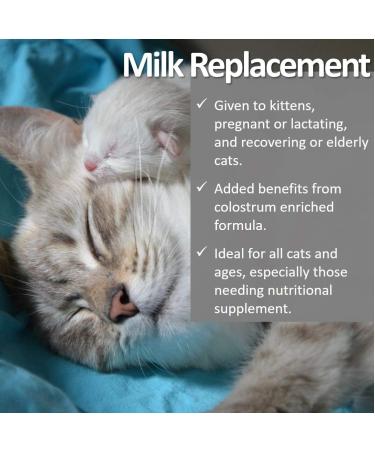 Vet Worthy Milk Replacement for Cats - Milk Formula Replacer for Puppies  Pregnant  Lactating  Elderly or Recovering Dogs - Enriched with Colostrum  Whey Protein  Vitamins  and Minerals - 12 oz - Buy Online on GoSupps.com