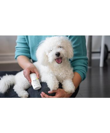 Hand Sanitizer with Pure MicroSilver - Travel Size | Effective Protection for On-the-Go | Shop Internationally - Buy Online on GoSupps.com