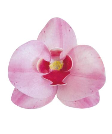 dekora 126066 Orchids cake decoration 10 edible flowers for cake made of edible paper-pink-7.5-8.5 cm - Buy Online on GoSupps.com