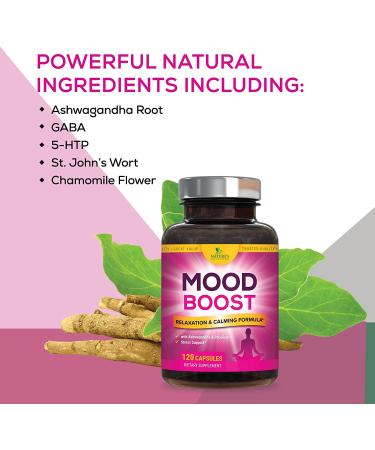Calm Support Supplement - 1000mg Herbal Formula with Ashwagandha, L-Theanine & GABA for Natural Stress Relief & Relaxation - 120 Capsules - Buy Online on GoSupps.com