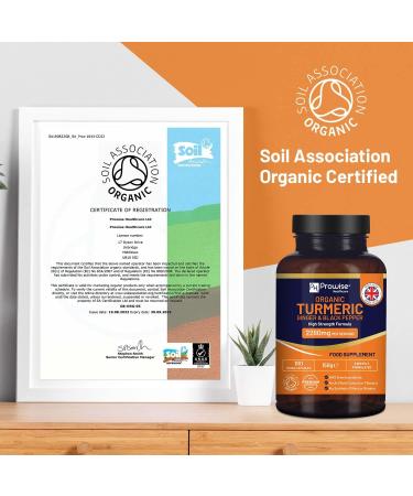 Organic Turmeric 2280mg with Black Pepper & Ginger - 180 Vegan Capsules | High Strength Curcumin Supplement | UK Made by Prowise Healthcare - Buy Online on GoSupps.com
