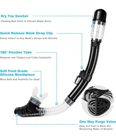 Zipoute Snorkel Set for Adults - Anti-Leak Panoramic Lens, Adjustable Gear for Scuba Diving and Swimming (Black) - Buy Online on GoSupps.com