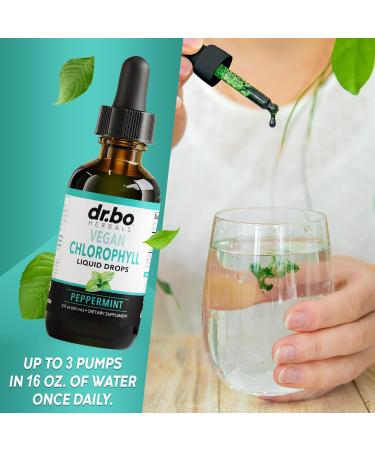 Chlorophyll Liquid Drops - Vegan Body Detox Supplement for Energy & Immune Support | Natural Odor Cleanse & Deodorizing | 2 oz - Buy Online on GoSupps.com