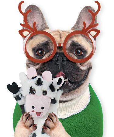 5 Pack Dog Squeaky Toys - No Stuffing Animals, Chewable & Crinkly Pet Toys for Large and Medium Dogs | Squeaky Doggie & Puppy Toys Set - Buy Online on GoSupps.com