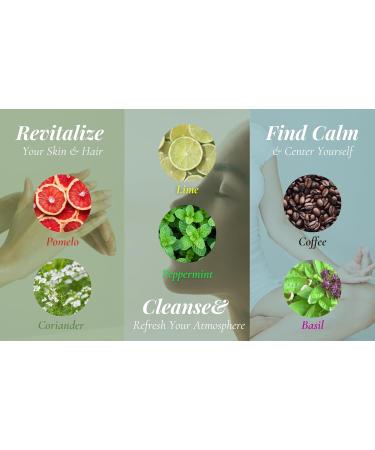 100% Pure Essential Oils for Diffusers Home Care Car Hair & Massage Candle Making Scents Fragrance Aromatherapy Humidifiers Gifts -(10ml/(0.33 oz) Coriander) Coriander 0.33 Fl Oz (Pack of 1) - Buy Online on GoSupps.com