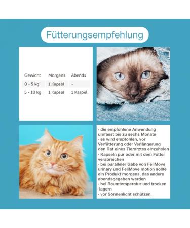 FeliMove Urinary for Cats - 300 Capsules (3 x 100) | Struvite FLUTD & Cystitis Solution | International Shipping - Buy Online on GoSupps.com