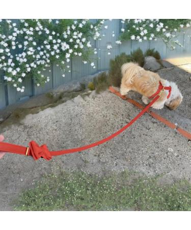 Premium H-Shaped Dog Harness with Multi-Position Leash & Velvet Loop - Ideal for Small Medium & Large Dogs (Red M) | Durable & Comfortable - Buy Online on GoSupps.com