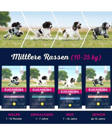 Eukanuba Puppy Food with Fresh Chicken Premium Dry Food for Medium Breeds | 15 kg - Ideal for Junior Dogs - Buy Online on GoSupps.com