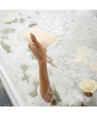 NOLITOY Natural Loofah Sponge - Exfoliating Body Scrubber for Men & Women | Egyptian Luffa for Bath & Shower - Buy Online on GoSupps.com