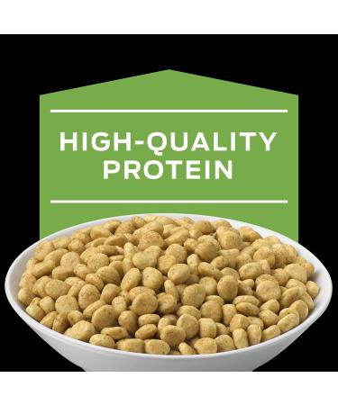 Purina Pro Plan HA Hydrolyzed Feline Formula Dry Cat Food - 4 lb Bag - Buy Online on GoSupps.com