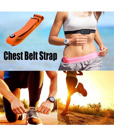 Lrporyvn Heart Rate Chest Strap - Adjustable Elastic Sports Monitor Belt for Accurate Heart Rate Tracking - Buy Online on GoSupps.com