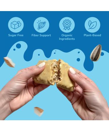 Rawmantic Coconut Energy Bar (12 Mini Bars x 60g) Organic Coconut Chips & Plant Based Protein with Puffed Quinoa, Sorghum, Millet & Buckwheat - No Artificial Flavors, Plant-Based, Non-GMO & Kosher - Buy Online on GoSupps.com