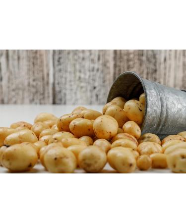 Buy 3x Rubio Caviar Chips - Vegan Gluten-Free Spanish Potato Snack Bags | 125g Large Pack - Buy Online on GoSupps.com