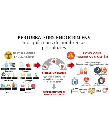 Prevoxium 180 Capsules Protects Your Cells Against Oxidative Stress and Strengthens Your Immunity Spirulina Enriched with Selenium 100% Natural and Innovative Food Supplement Made in France - Buy Online on GoSupps.com