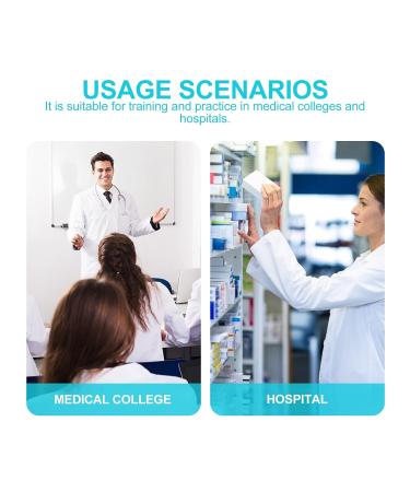 Silicone Intramuscular Injection Training Model Injection Model Tool for Nurse - Buy Online on GoSupps.com