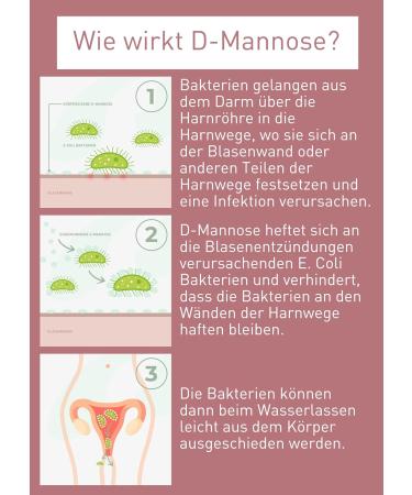 N1 D-Mannose Direktsticks - 90 St. | Natural Relief for Bladder Inflammation & Urinary Tract Infection | 90 Days Supply | Antibiotic-Free & Waterless | Delicious Taste - 3 Pack - Buy Online on GoSupps.com