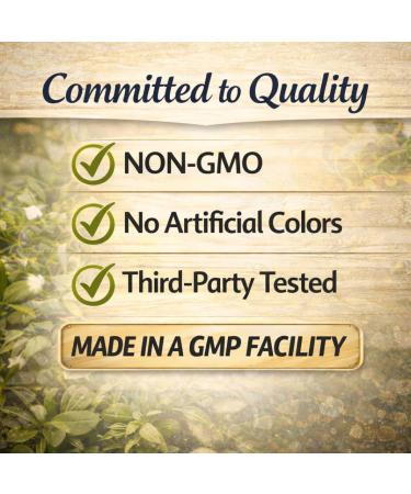 High-Potency CoQ10 200mg + Omega-3 200mg Supplement 4X Absorption Dual-Action Formula for Heart & Brain Support Cognitive Function Cellular Energy & Daily Wellness 30 Day Supply - Buy Online on GoSupps.com