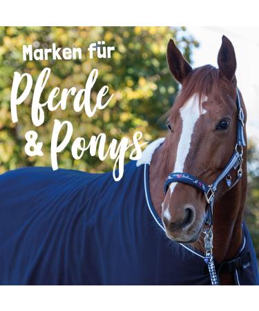 Shop Soulhorse Guardian Angel Saddle & Bridle - Talisman Key Rings for Horses & Pets (Soulmate Blue) - International Shipping Available - Buy Online on GoSupps.com