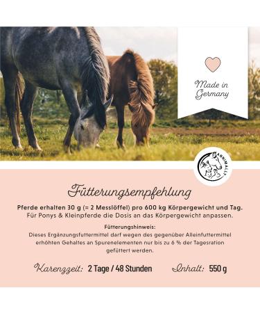 Annimally Multi Vital Powder for Horses - 550g Multivitamin with Vitamin B Complex Immune Support Vitamins A D3 E & Essential Nutrients - Buy Online on GoSupps.com