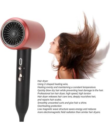 Professional Ionic Hair Dryer 1800W Fast Drying Low Noise Blow Dryer with Ion Technology 2 Nozzles for Home Salon Travel (US Plug 100 to 240V 110V) - Buy Online on GoSupps.com