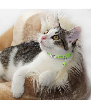 Tagme Reflective Cat Collar 2-Pack | Custom Name & Address Shield for Cats & Puppies | Safety Lock & Bell | Green 18-28 cm - Buy Online on GoSupps.com