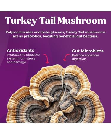 Fungiments Super Prune Constipation Relief & Digestive Support, Turkey Tail Mushrooms, Prebiotic Fiber, Rhubarb, Ginger & Chamomile Gut Health, Debloating & Regularity (30 Gummies) 1 Count (Pack of 1) - Buy Online on GoSupps.com