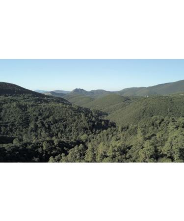 OLLO S Mercurius Solubilis 30c - Organic Vegan Homeopathic Medicine | 80 Pellets - International Shipping Available - Buy Online on GoSupps.com