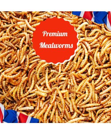 UK GROW 5L Premium Dried Mealworms - High-Quality 5 Litre Pack - Buy Online on GoSupps.com